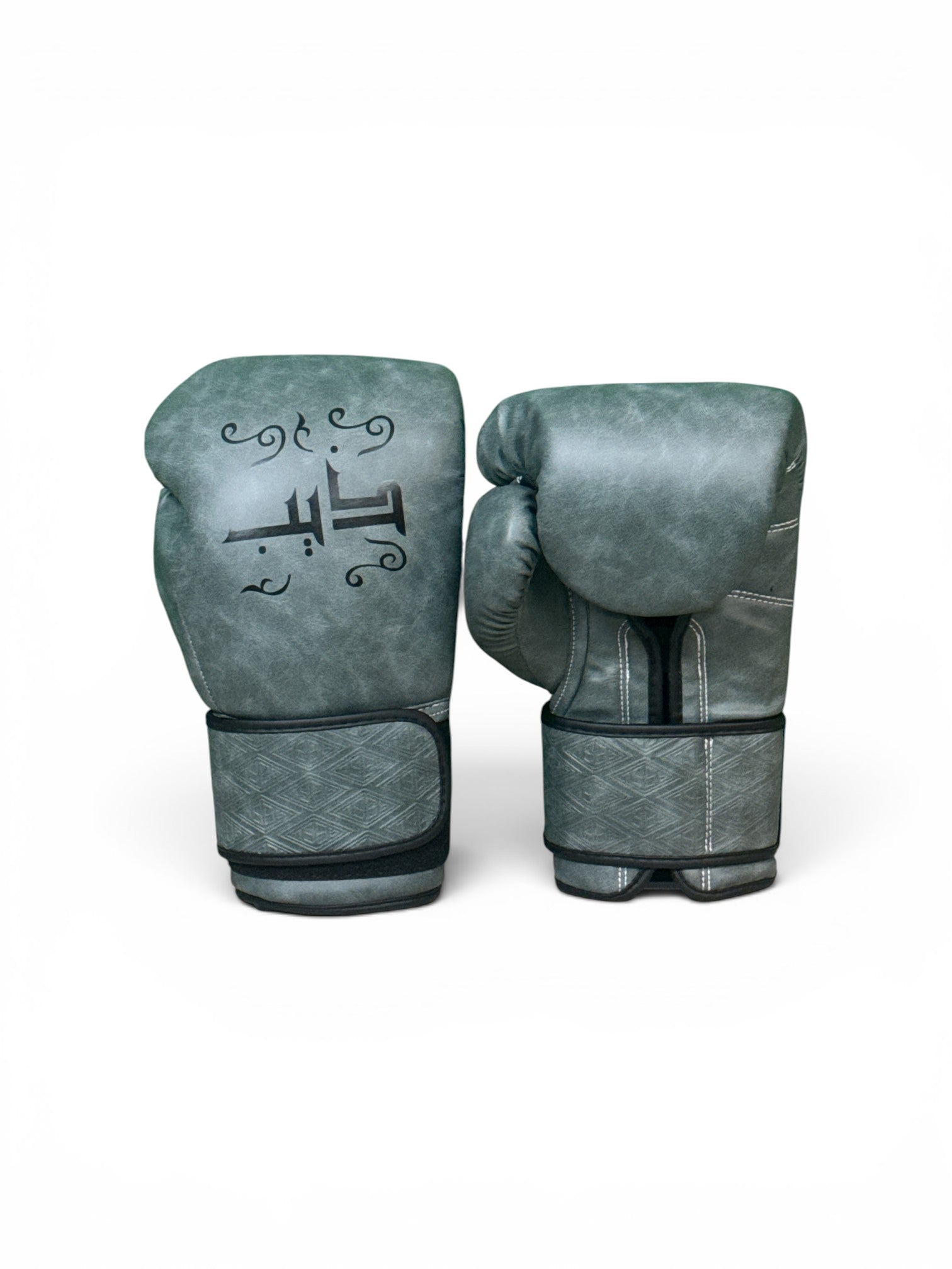 THEEB - Arabica Microfiber Boxing Gloves