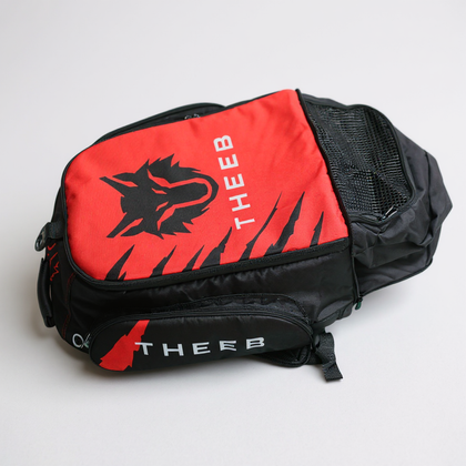 THEEB Gym Bag