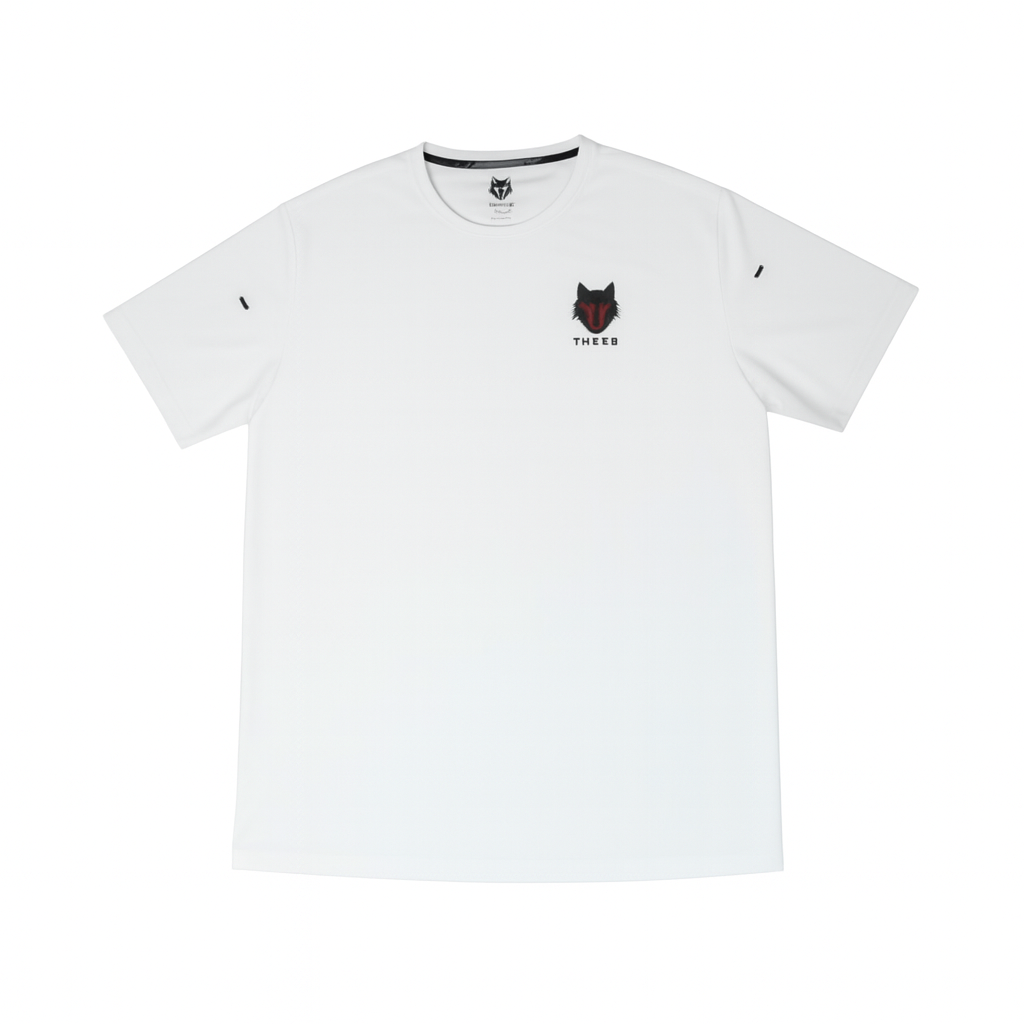 THEEB back to basics gym dry fit t-shirt