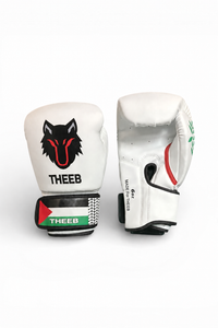 THEEB Falastini Boxing Gloves Youth